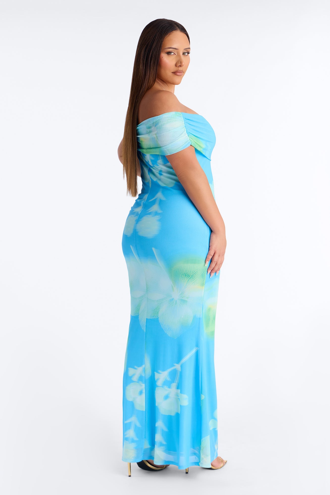 Emilee Off Shoulder Mesh Maxi Dress - Blue/combo