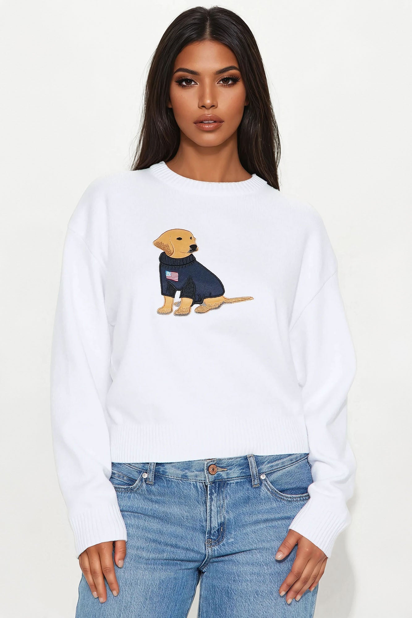 Puppy Love American Flag Sweater - White/combo