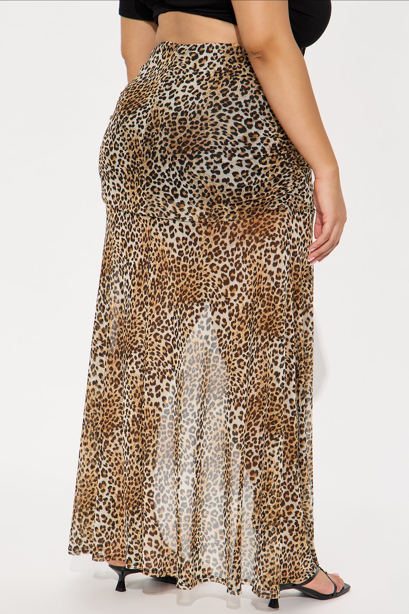 Leopard&