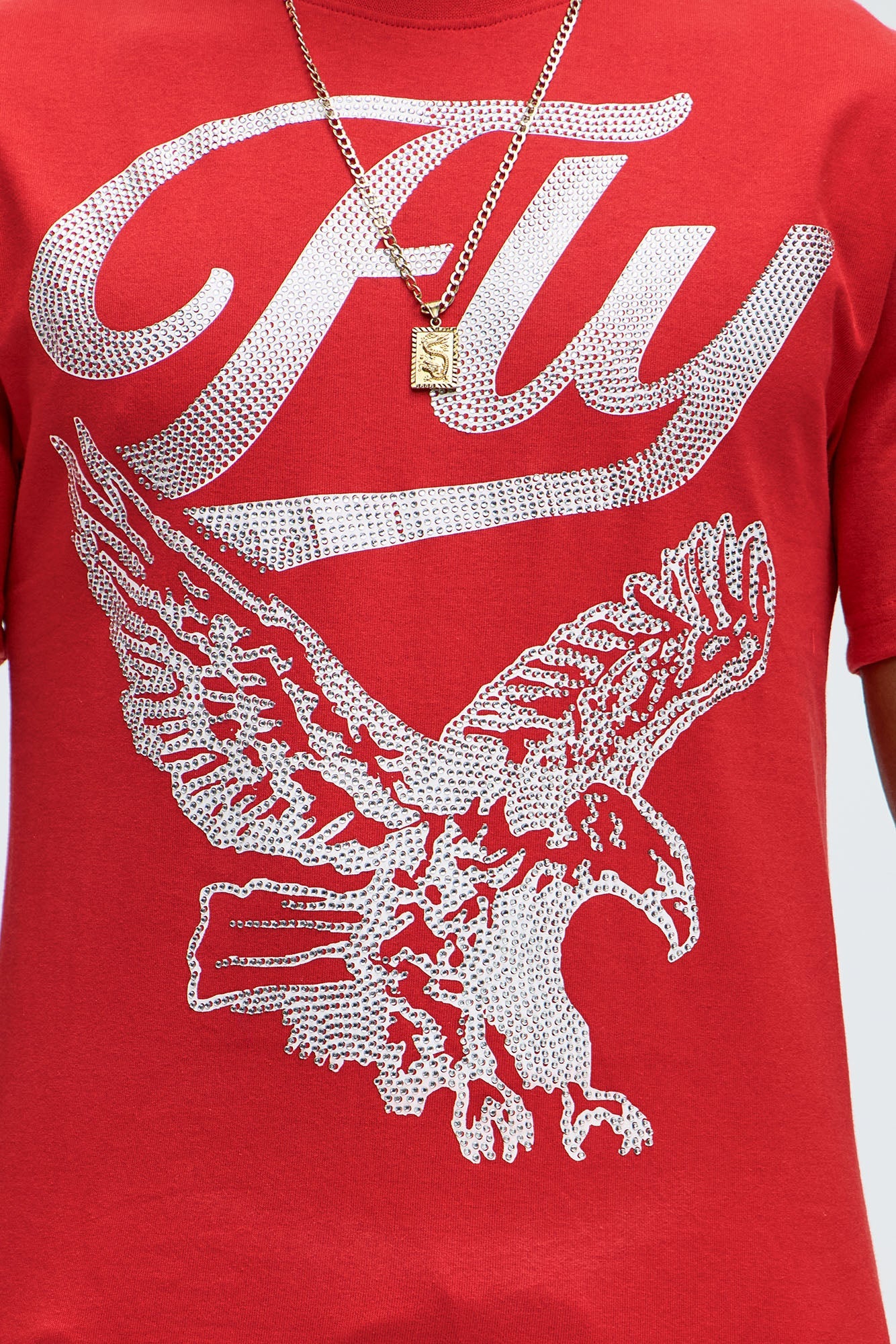 Fly Higher And Grind Short Sleeve Tee - Red