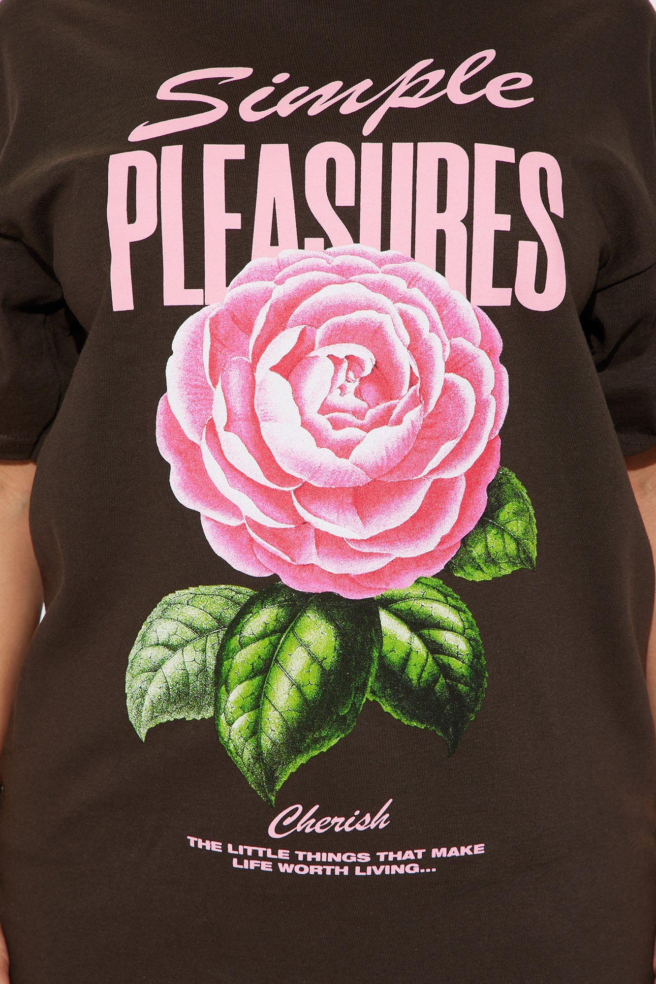 Simple Pleasures Graphic Tshirt - Brown