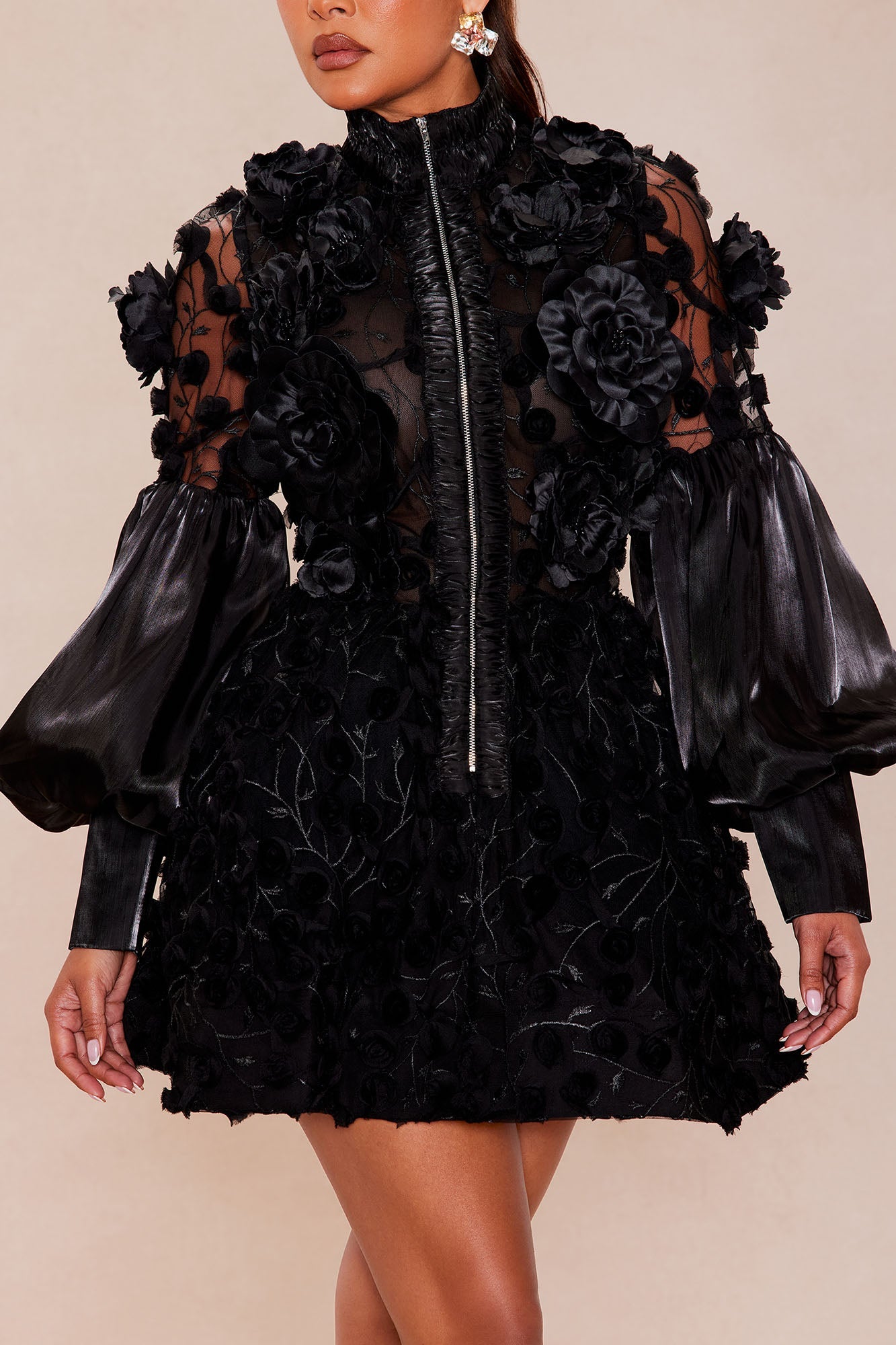 Raven Sheer Embroidered Mini Dress - Black