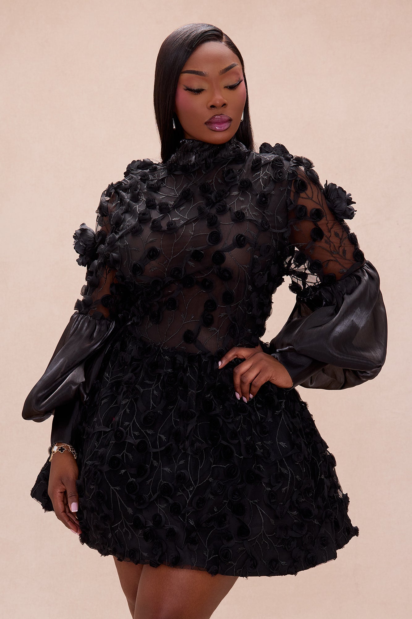 Raven Sheer Embroidered Mini Dress - Black