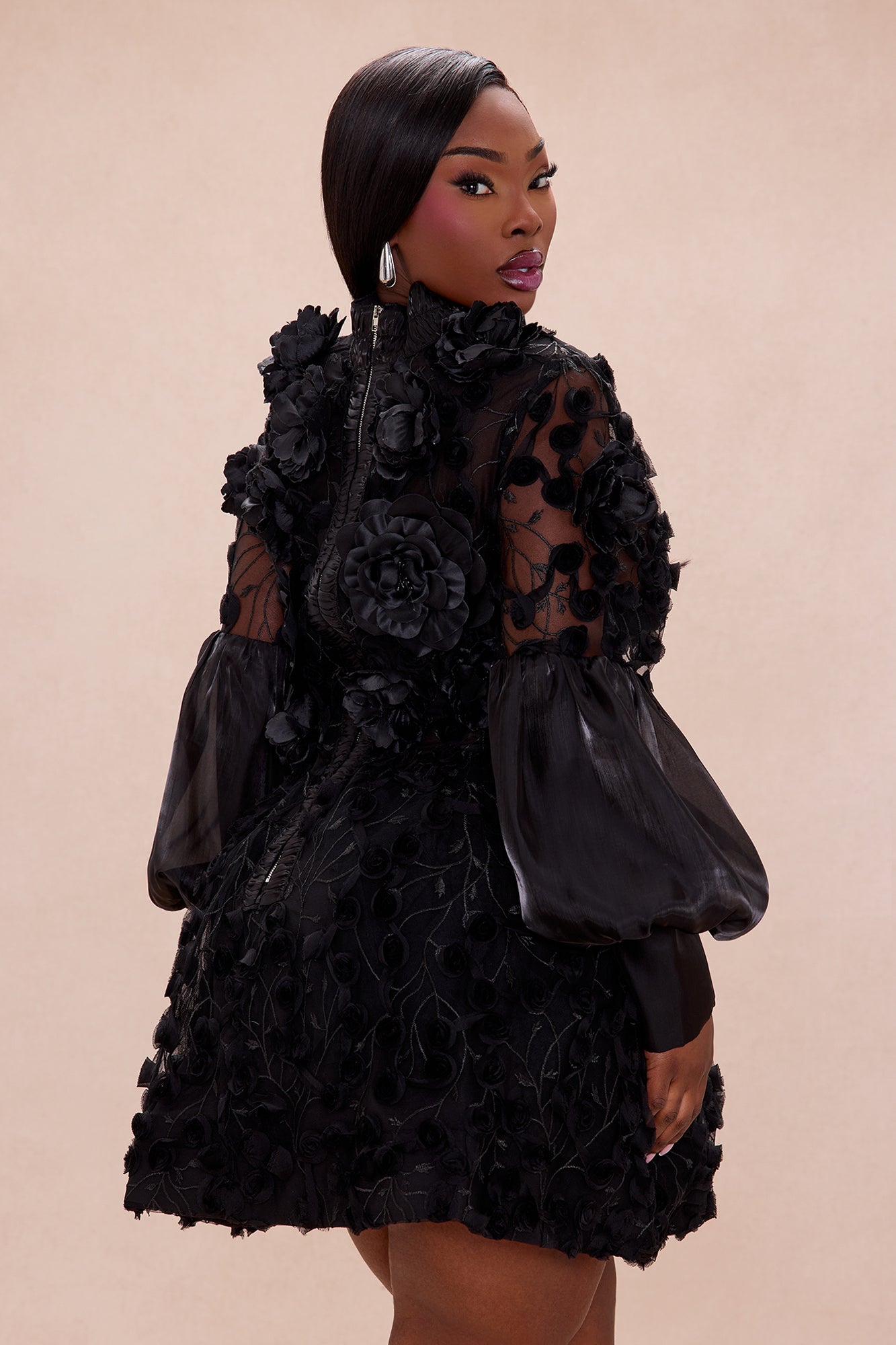 Raven Sheer Embroidered Mini Dress - Black