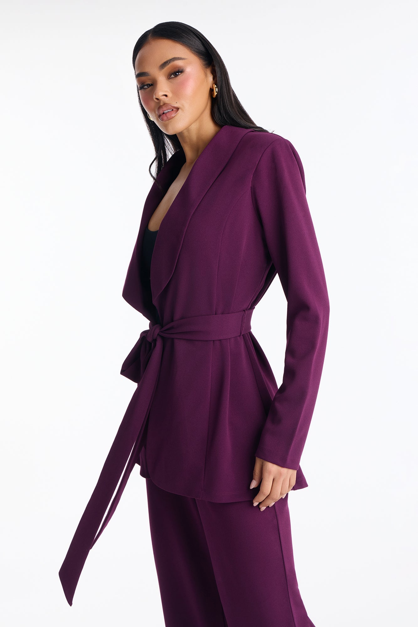 CEO Vibes Blazer Set - Plum