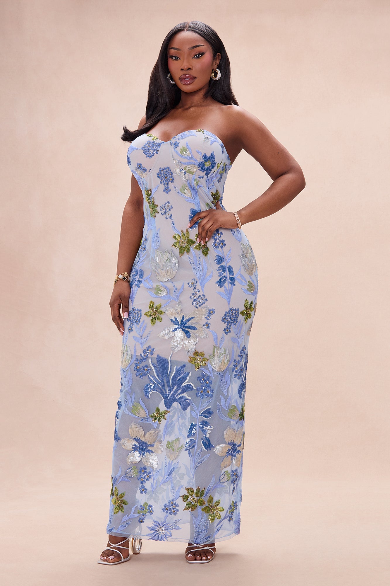 Sweet Meadows Embroidered Mesh Maxi Dress - Blue
