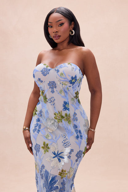 Sweet Meadows Embroidered Mesh Maxi Dress - Blue