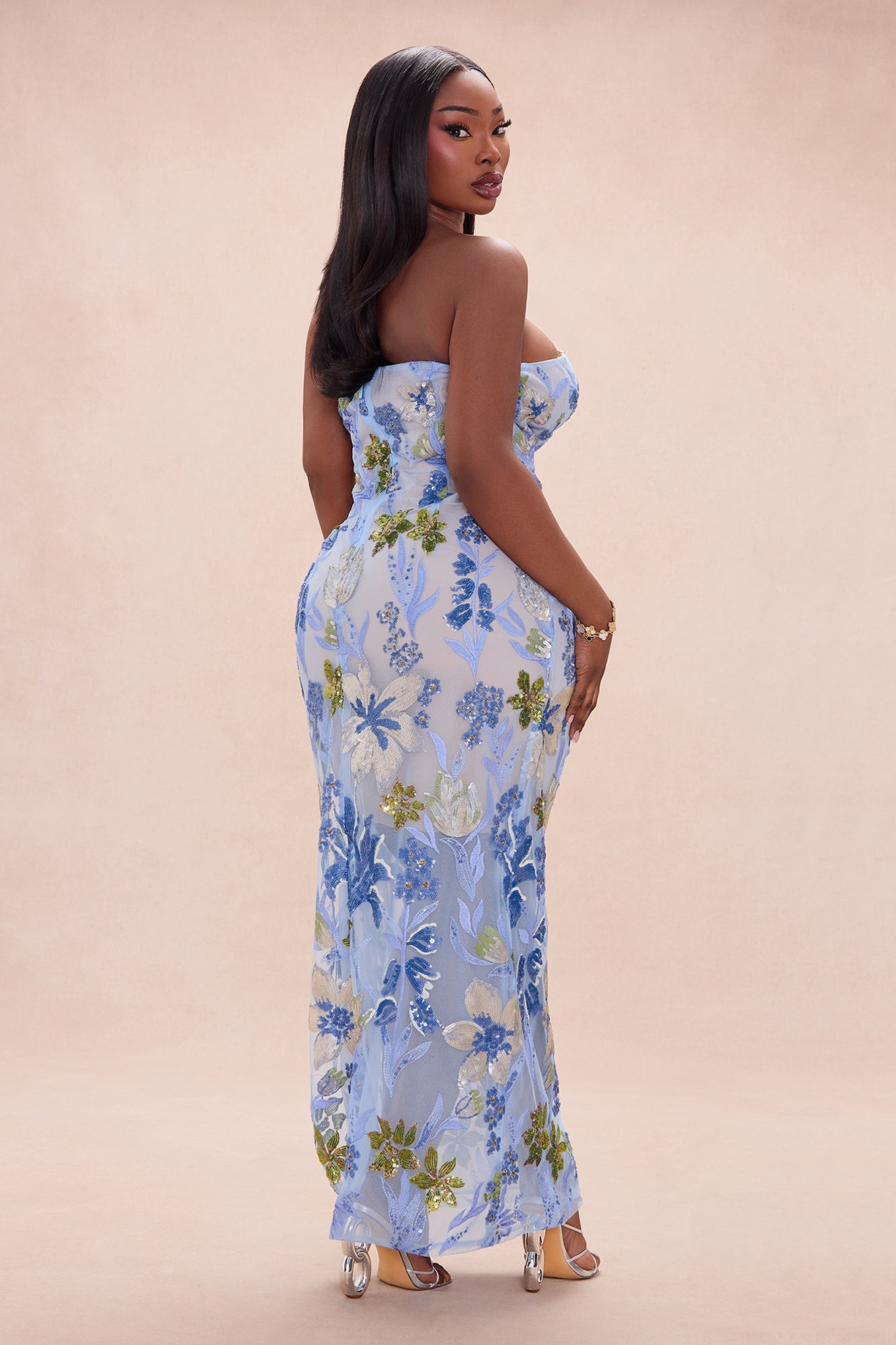 Sweet Meadows Embroidered Mesh Maxi Dress - Blue