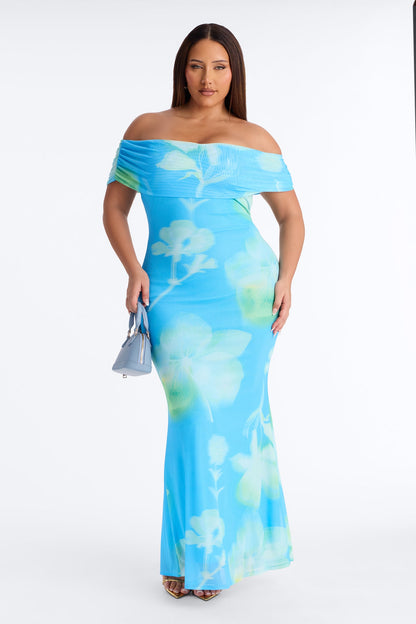Emilee Off Shoulder Mesh Maxi Dress - Blue/combo