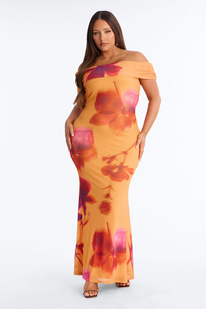 Emilee Off Shoulder Mesh Maxi Dress - Orange/combo