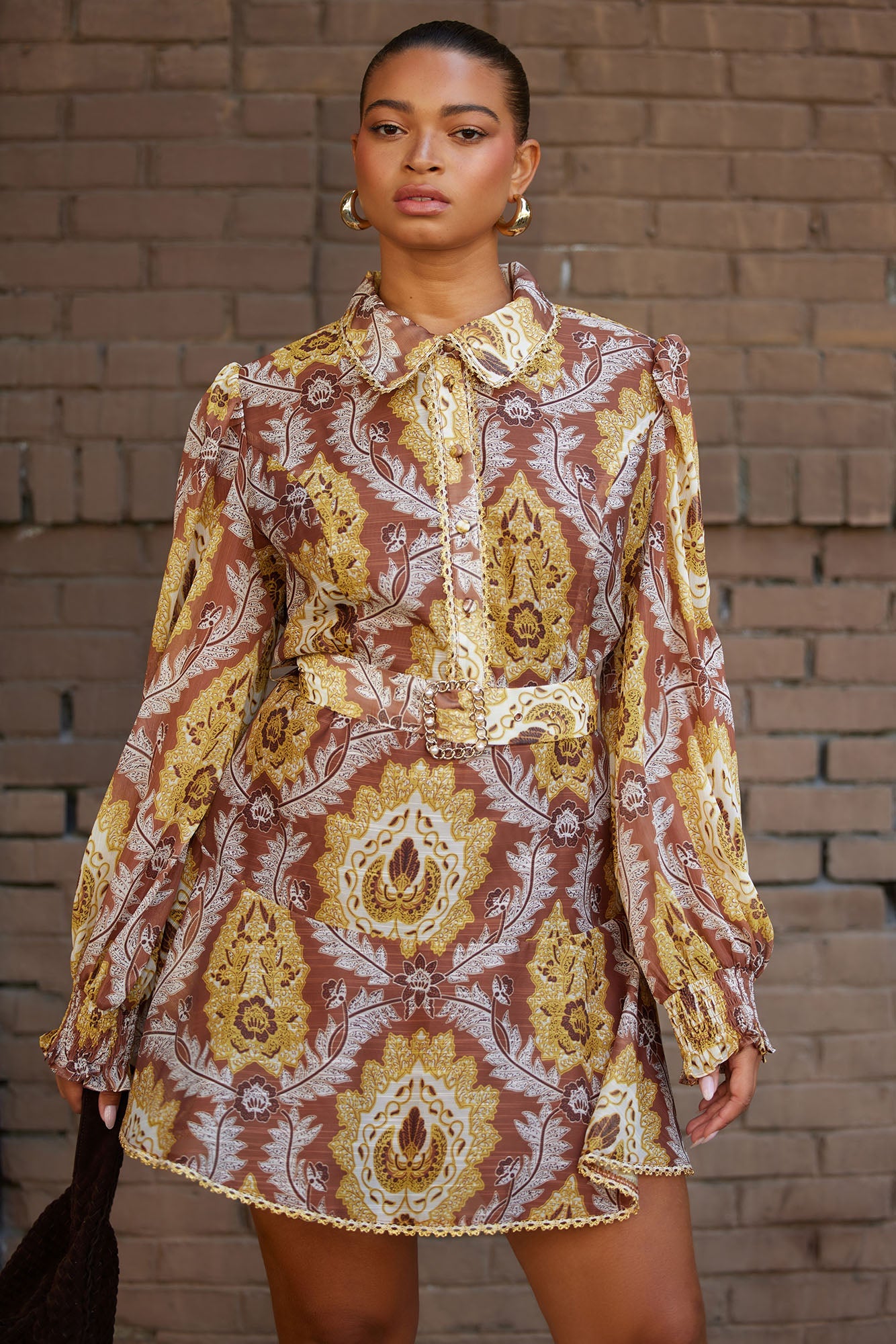Darlington Belted Chiffon Shirt Mini Dress - Brown/combo