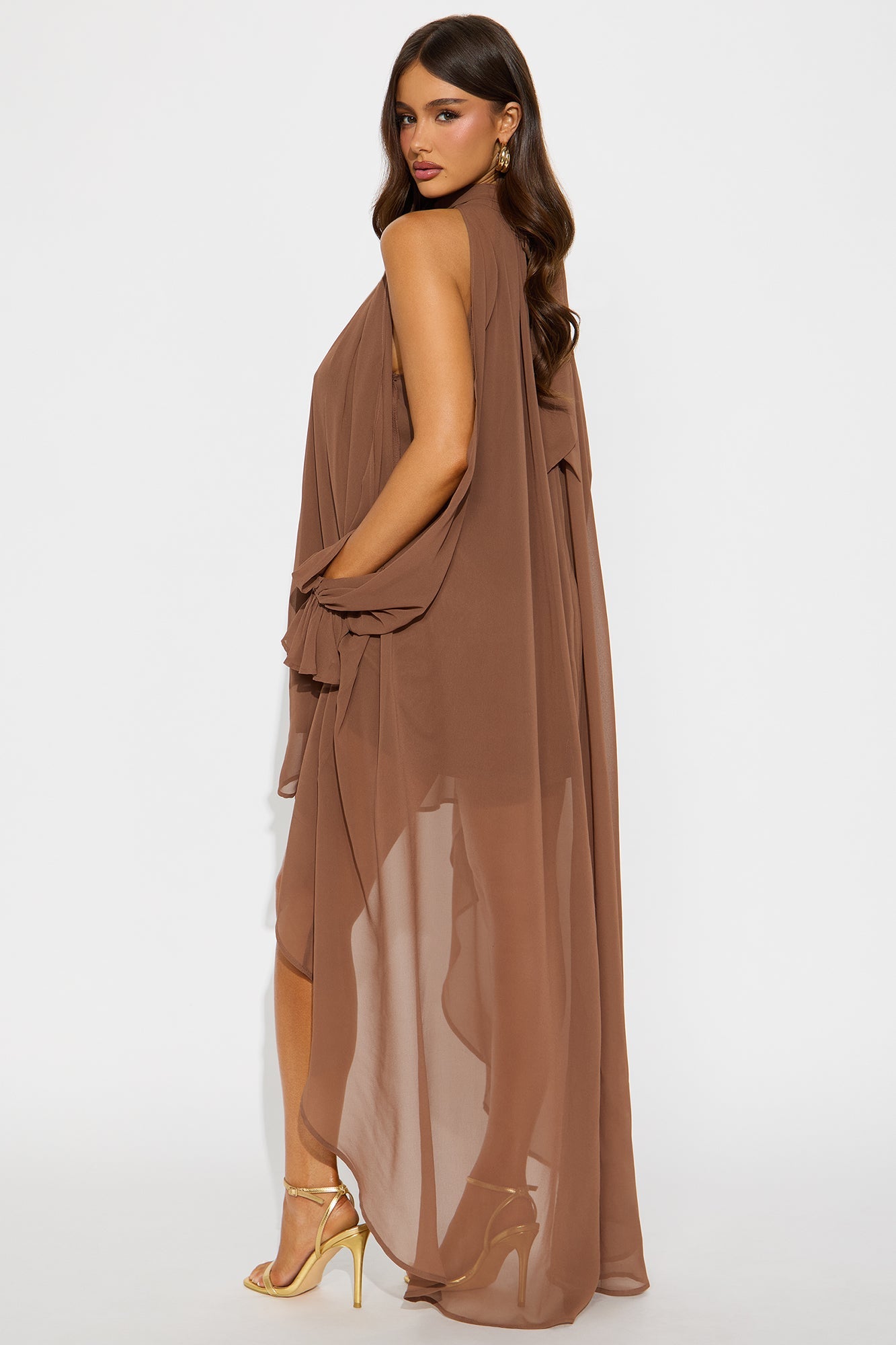 Aryal Long Sleeve Chiffon Maxi Dress - Brown
