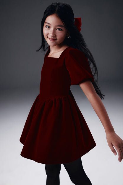 Mini Joyce Velvet Dress - Wine