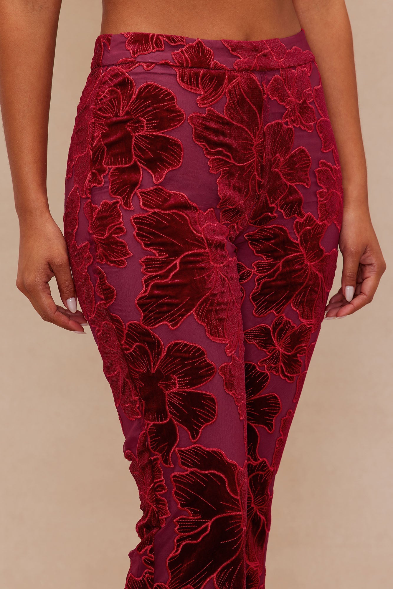 Tyra Velvet Embroidered Pant - Burgundy