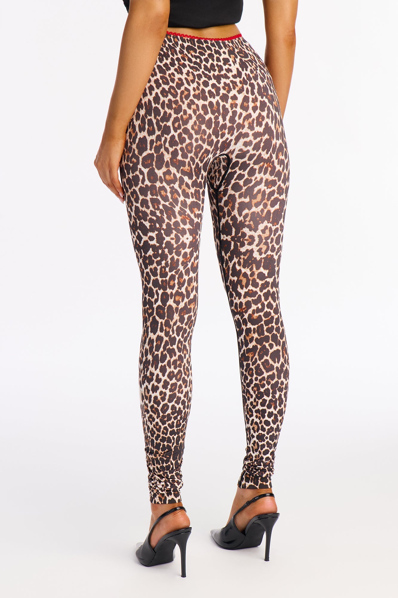 Asya Midrise Contrast Trim Leopard Legging - Leopard