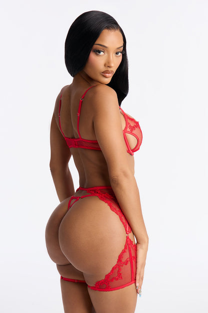 Ride of Passion 3 Piece Mesh Embroidered Bra And Panty Garter Set - Red