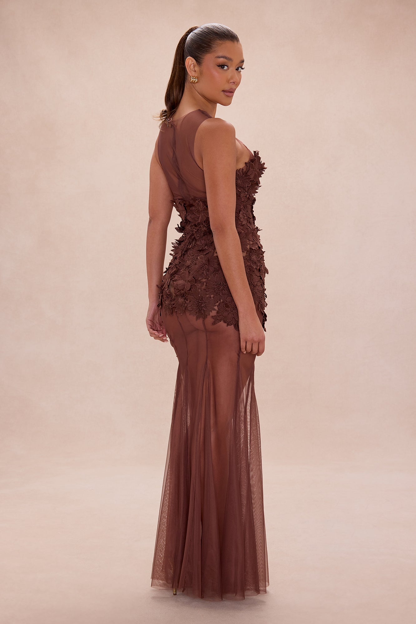 Willow Sheer Embroidered Maxi Dress - Chocolate
