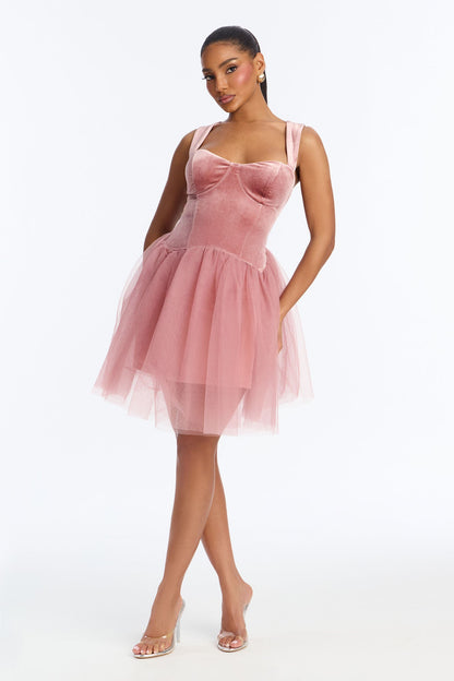 Constanza Velvet Tulle Mini Dress - Mauve