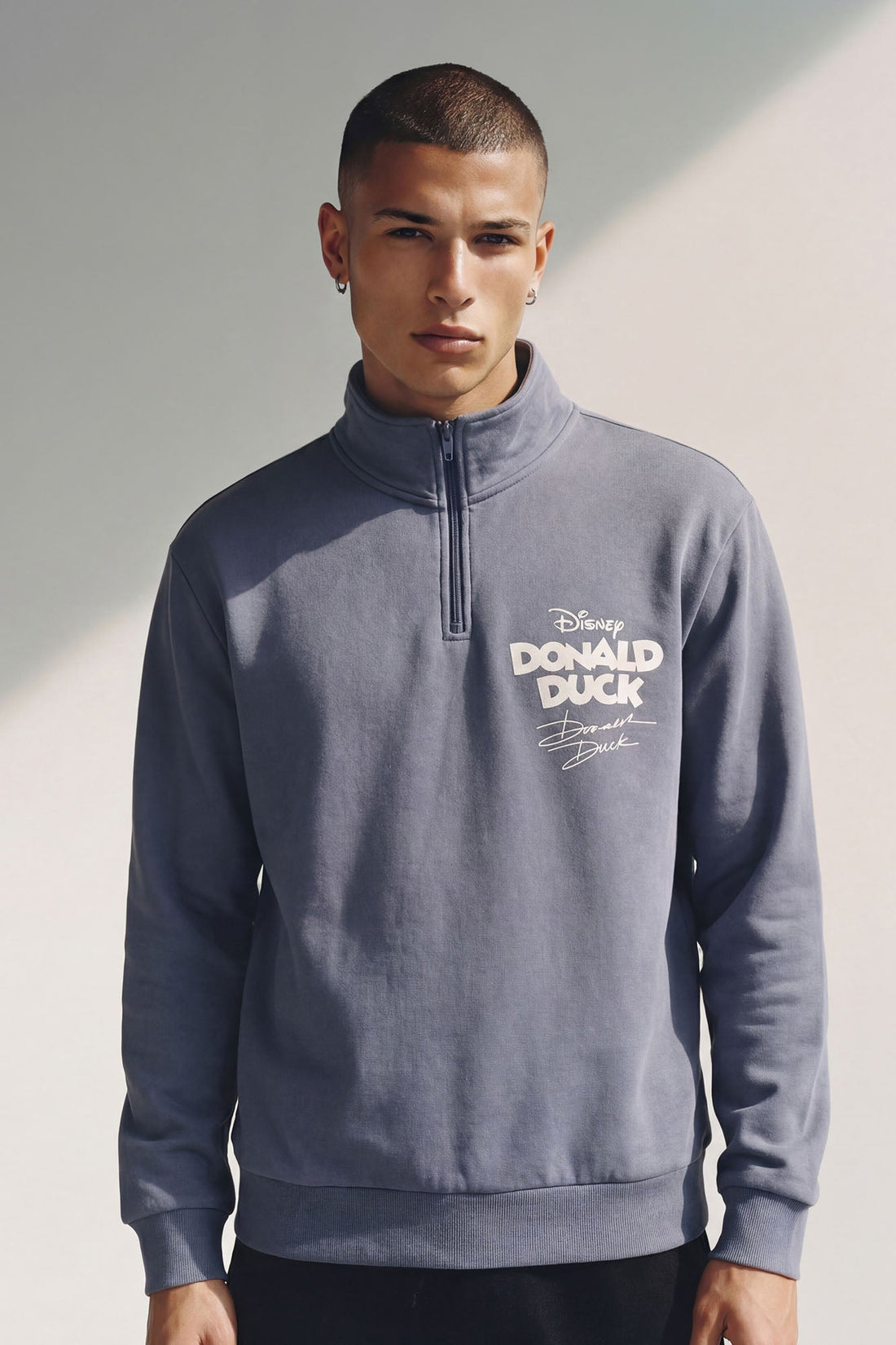 Disney Aw Phooey Donald Embroidery Quarter Zip Sweatshirt - Slate Blue