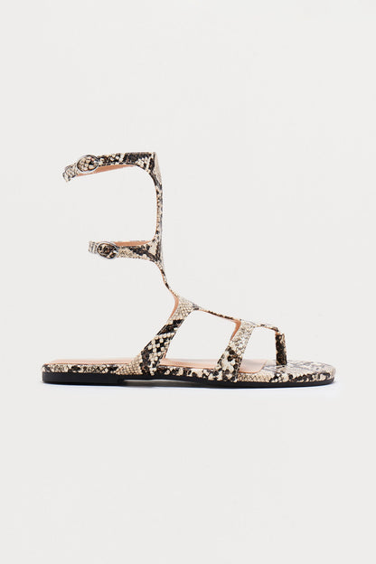 Colombia Gladiator Sandals - Grey/combo