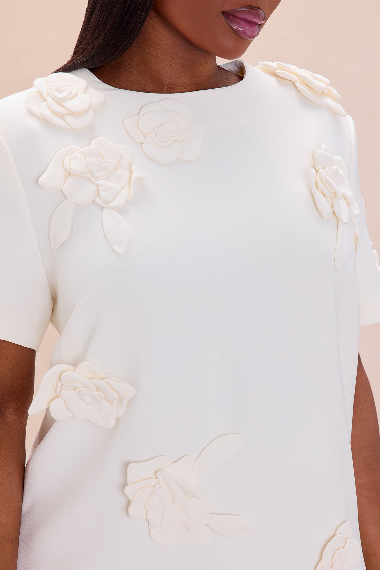 Amaya Floral Applique Mini Dress - Cream
