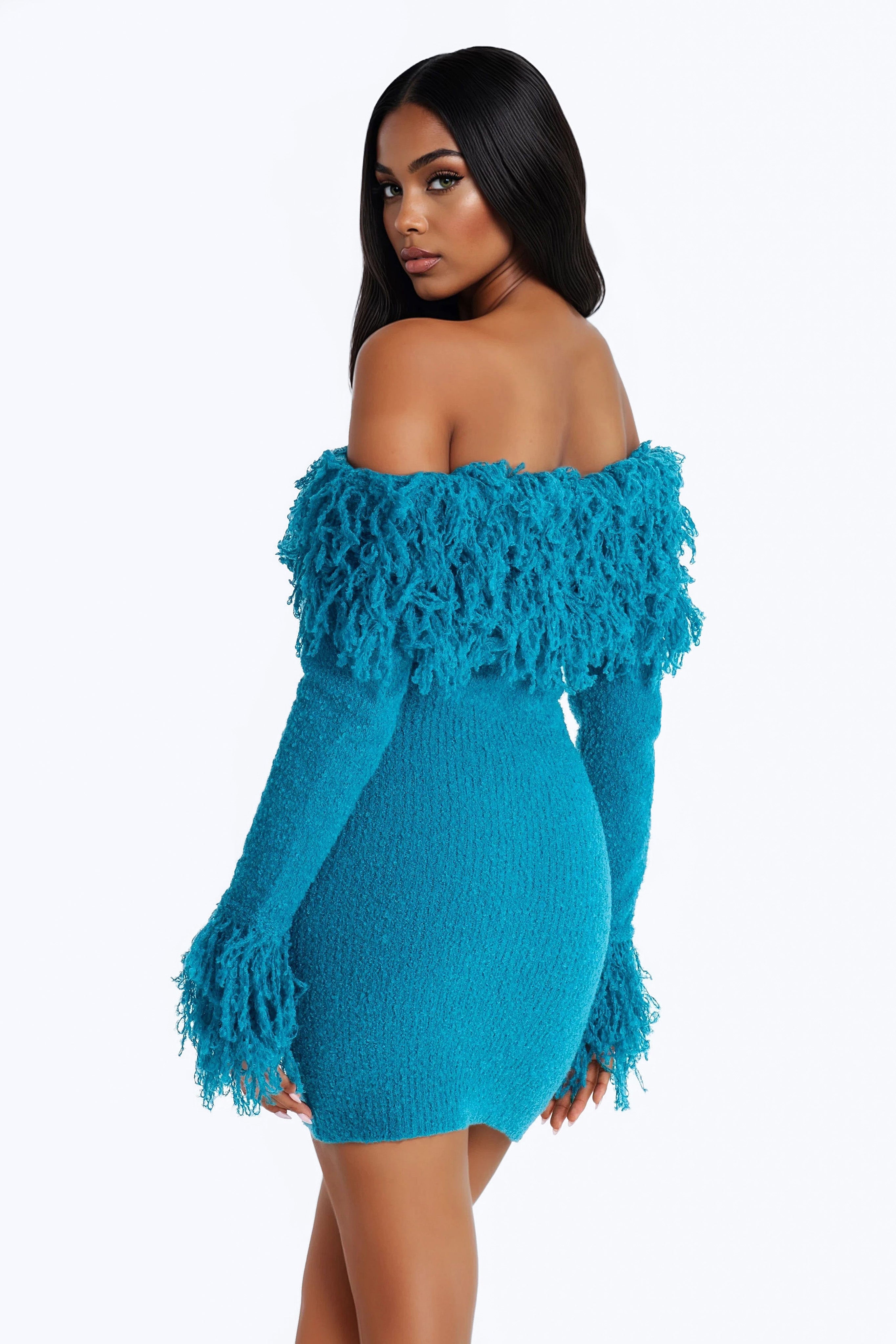 Jane Long Sleeve Sweater Mini Dress - Blue