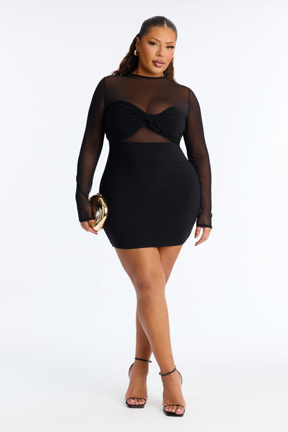 All I Need Sheer Mesh Mini Dress - Black
